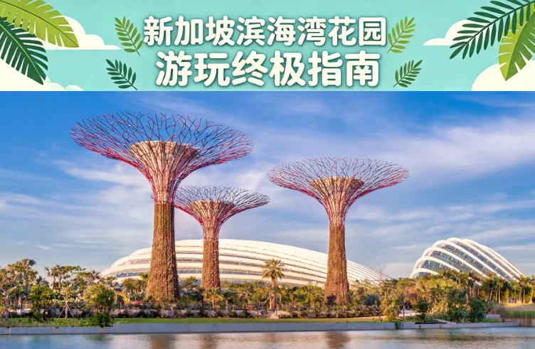 2026 新加坡滨海湾花园游玩攻略：门票、交通、Cloud Forest、Flower Dome、灯光秀与游玩路线